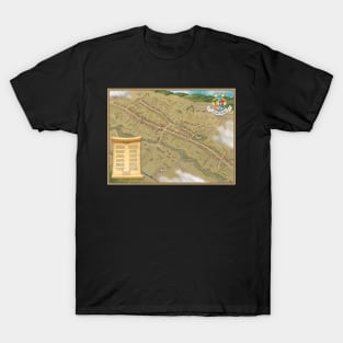 Transylvanian village / Szilágyzovány / Zăuan / bird eye view T-Shirt